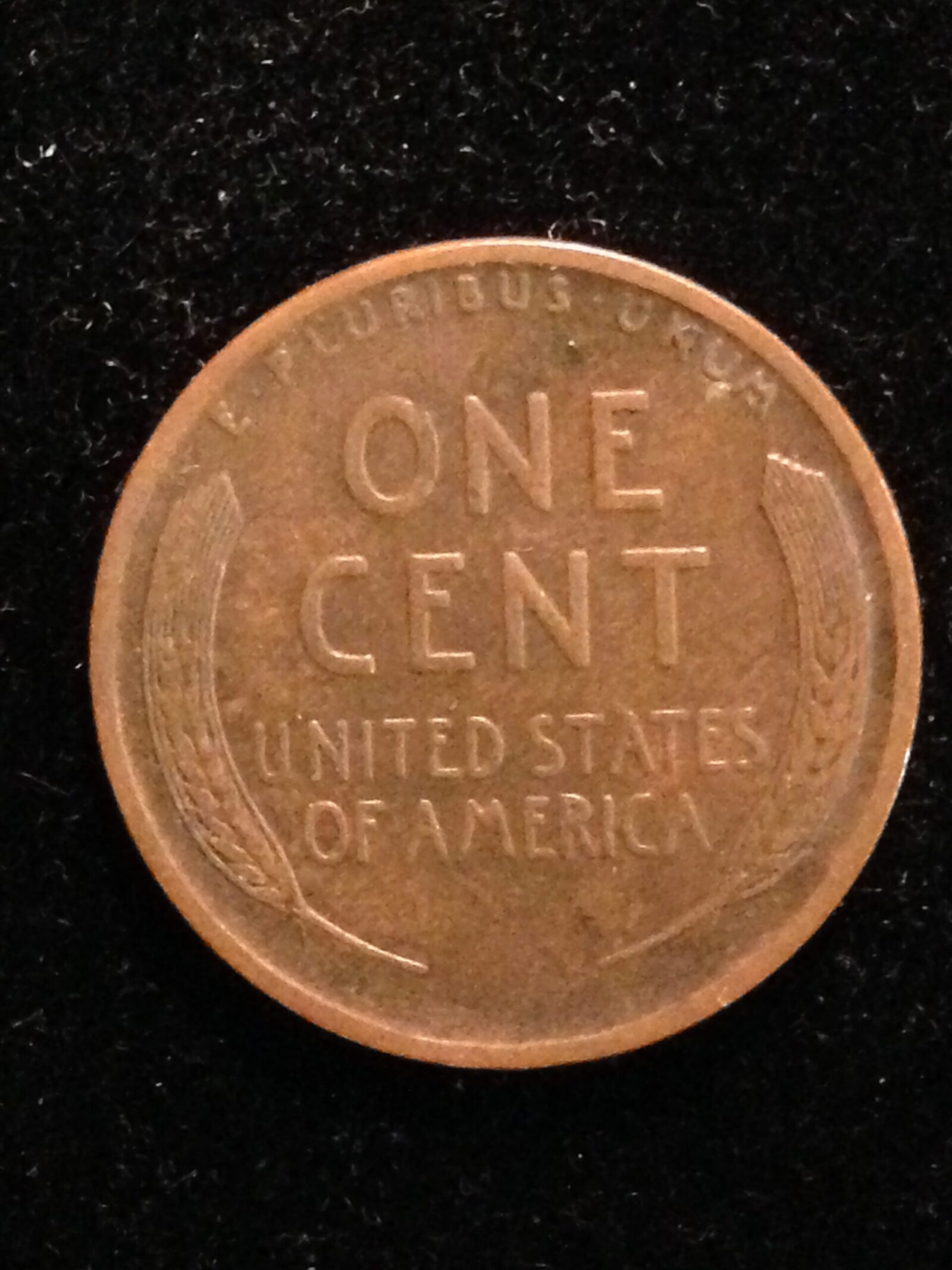 1919-D Lincoln Cent VF - Image 2
