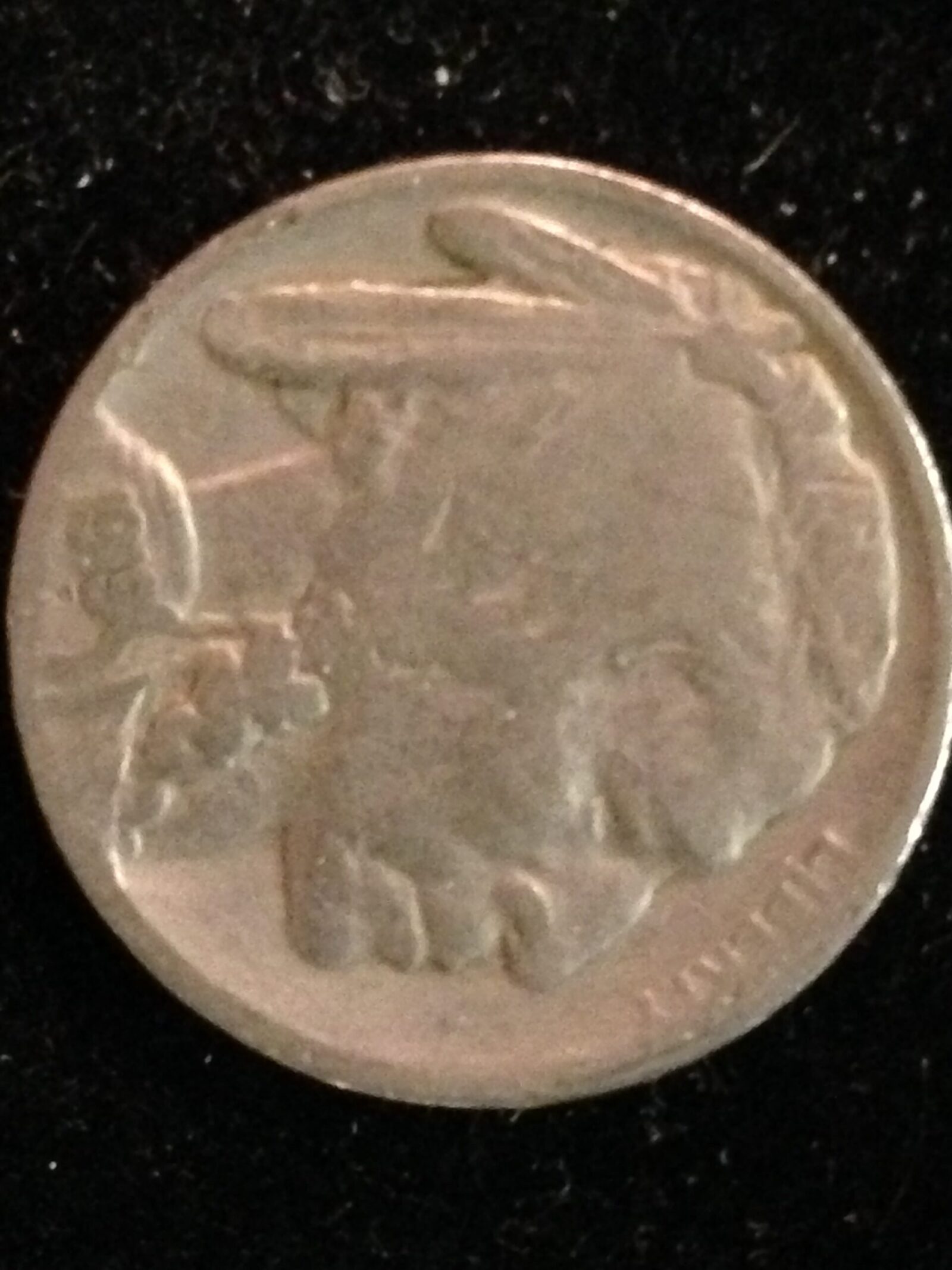1919 Buffalo Nickel VF