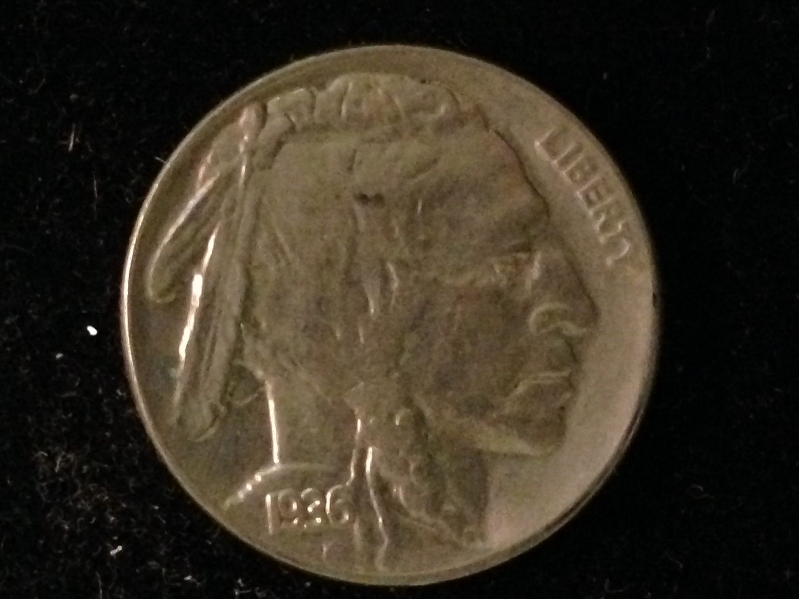 1936 Buffalo Nickel XF