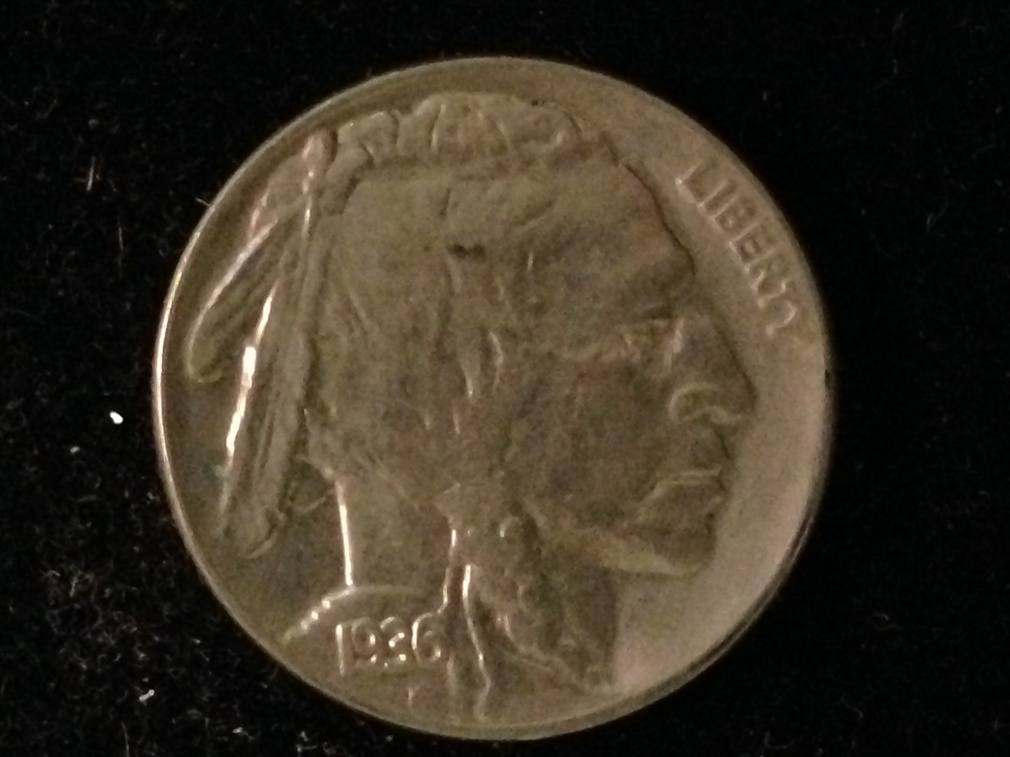 1936 buffalo nickels