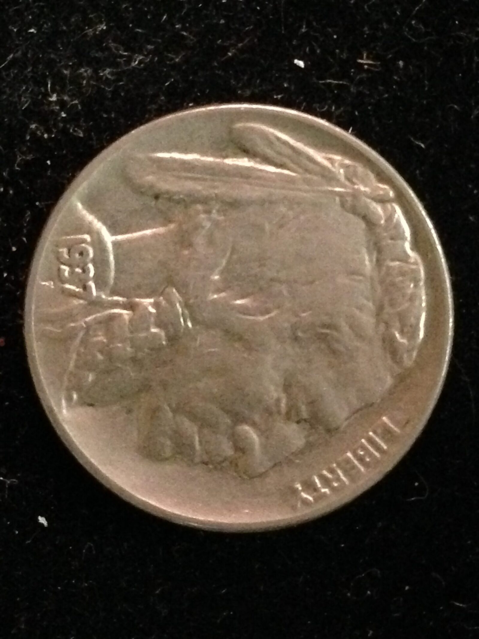 1937 Buffalo Nickel XF