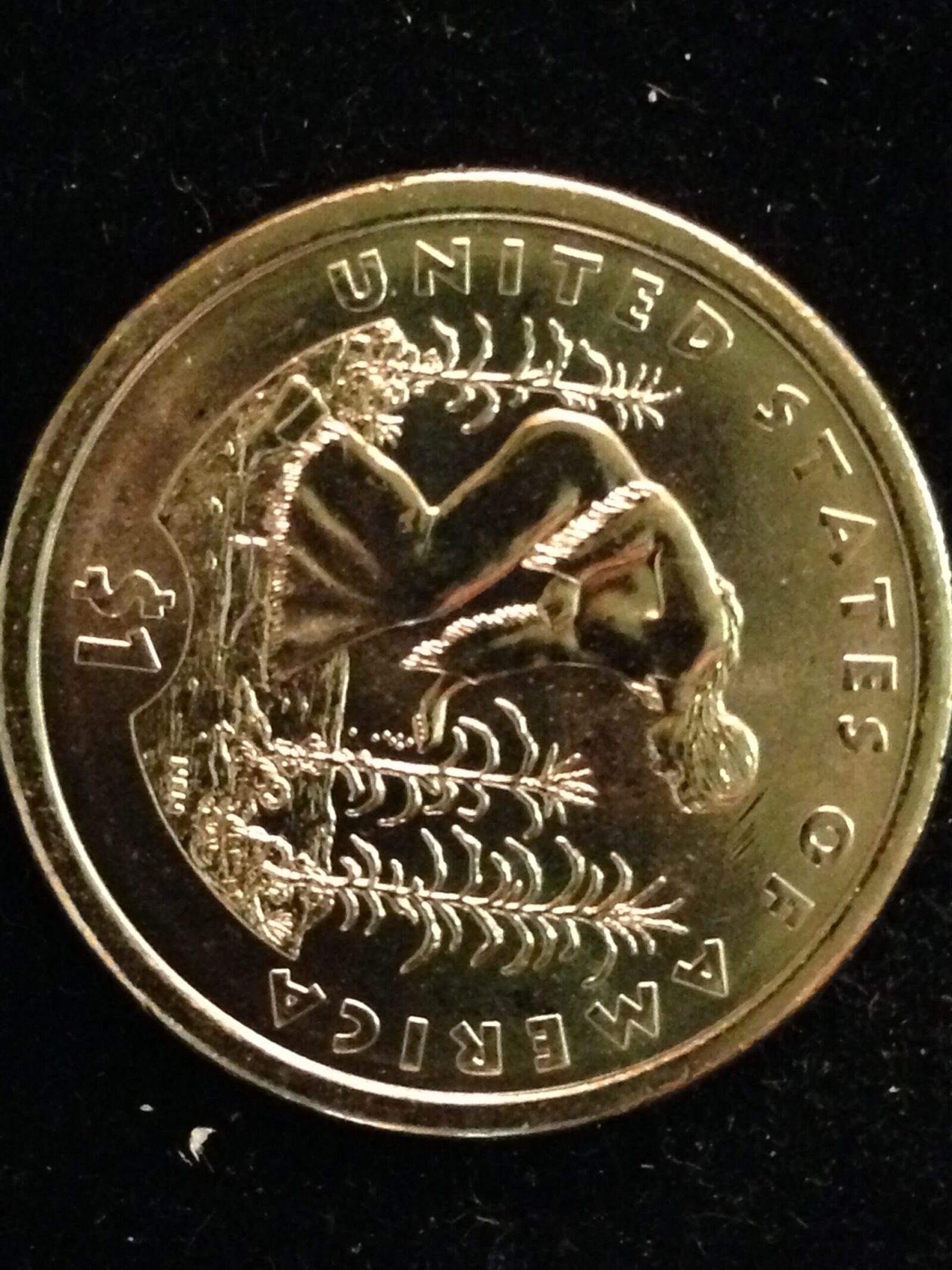 2009-D Sacagawea Dollar ChBU