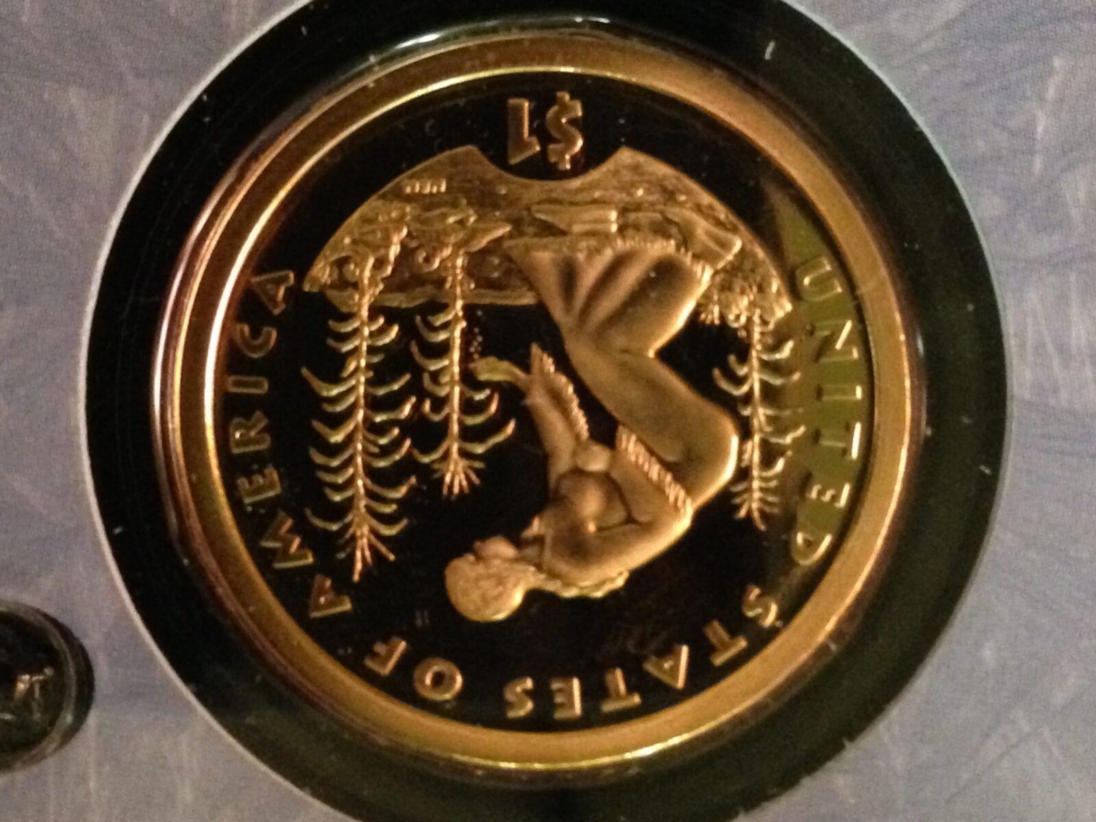 2009-S Sacagawea Dollar Gem Proof