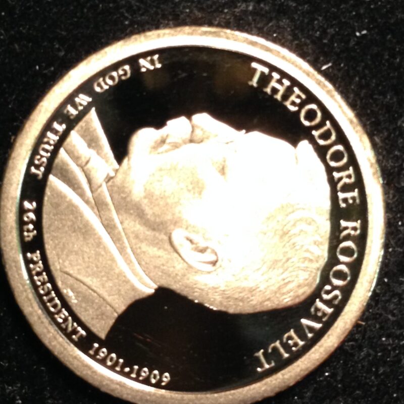 2013-S T Roosevelt Dollar Gem Proof
