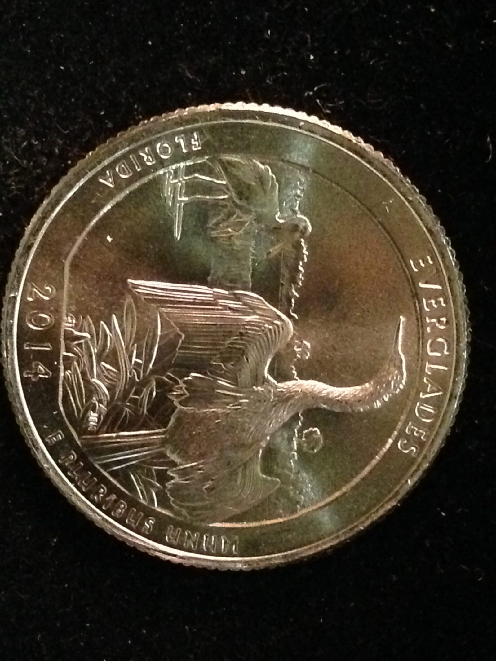 2014-P Everglades National Park Quarter Gem BU