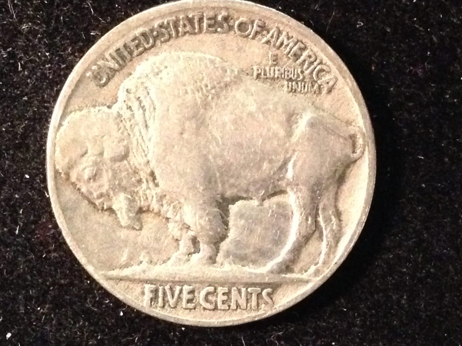 1916 Buffalo Nickel VF - Image 2