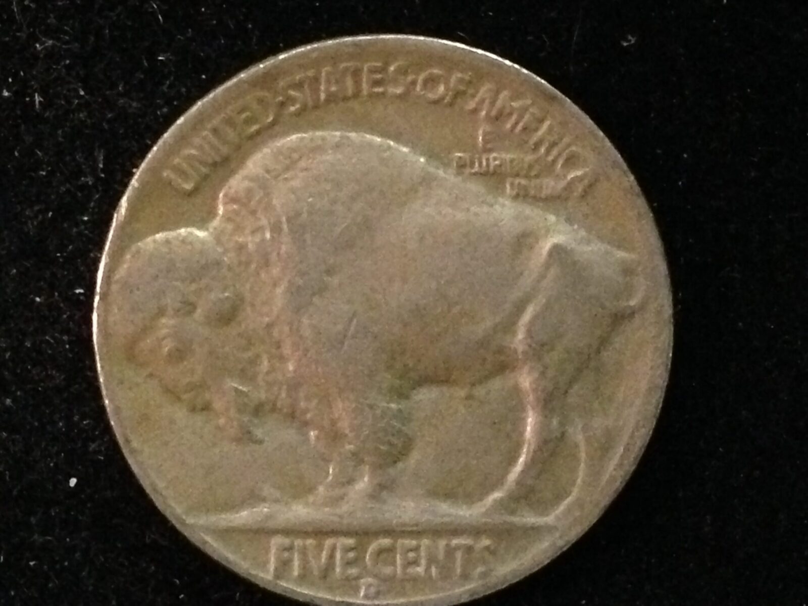 1934-D Buffalo Nickel VF - Image 2