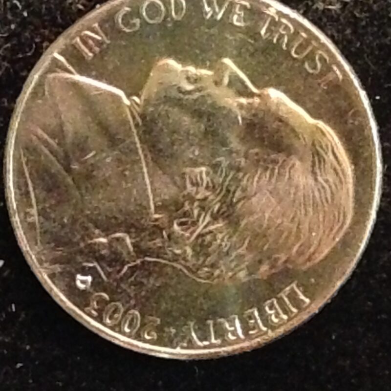 2003-D Jefferson Nickel Gem BU