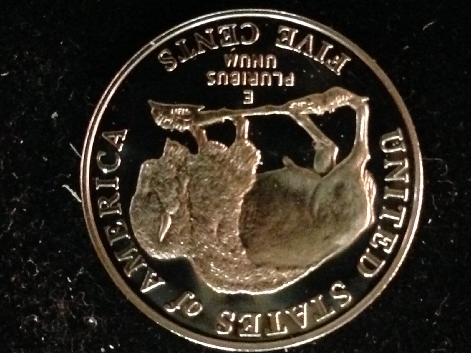 2005-S  Jefferson Nickel Bison Gem Proof