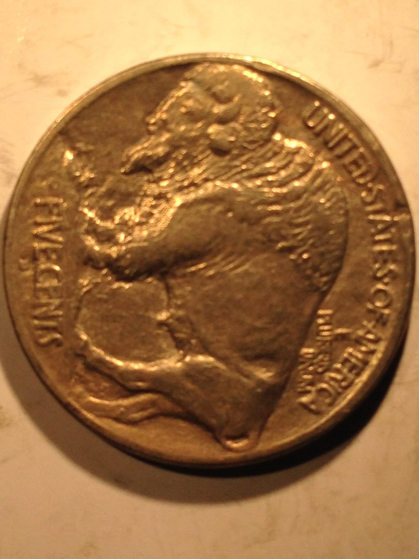 1913-D Ty 1 Buffalo Nickel VF - Image 2