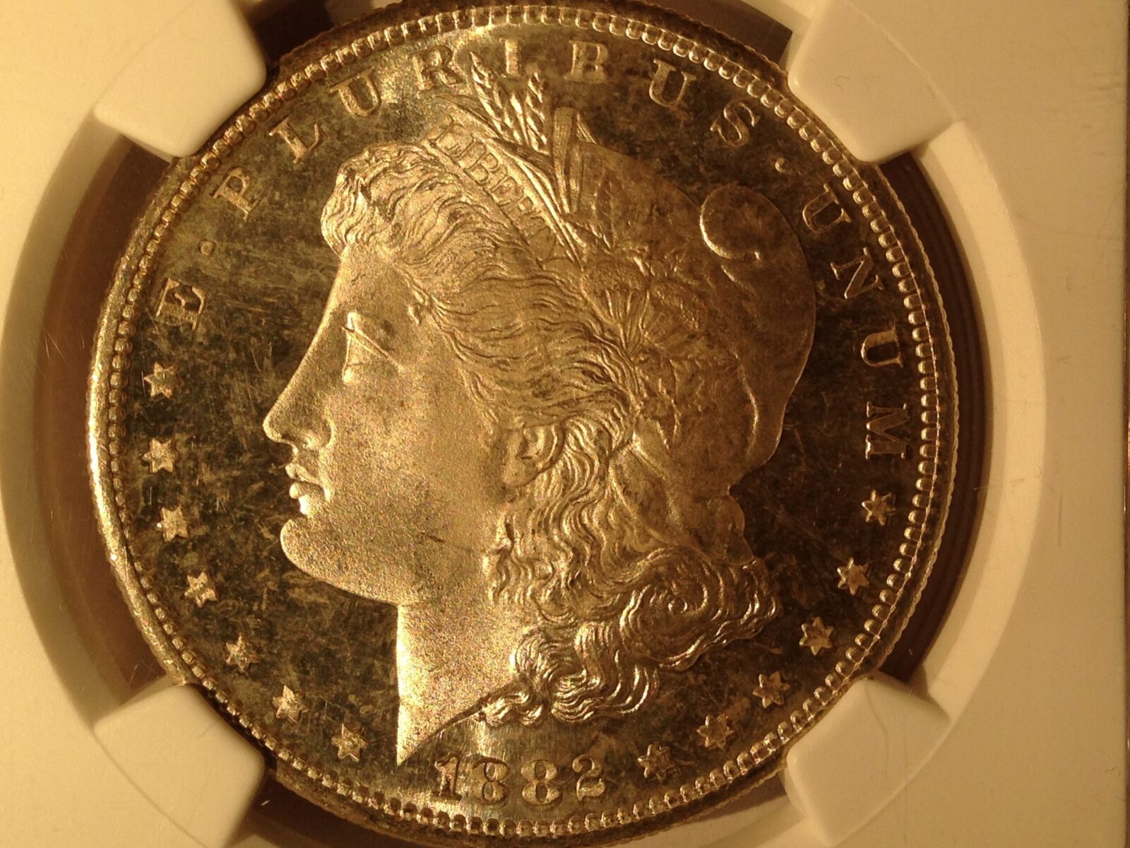 1882-S Morgan Dollar NGC MS-66