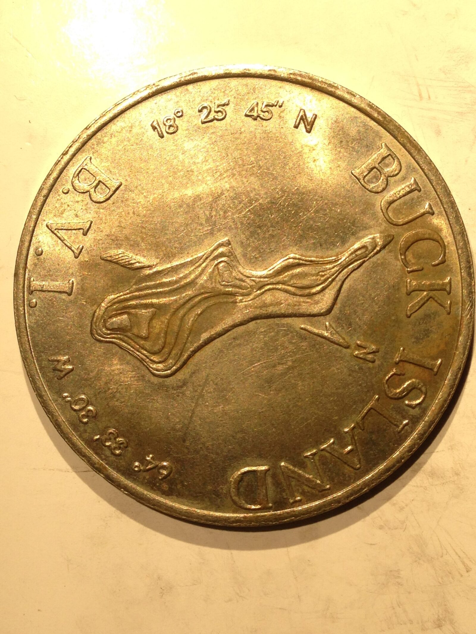 1961 Buck Island One Buck BU - Image 2