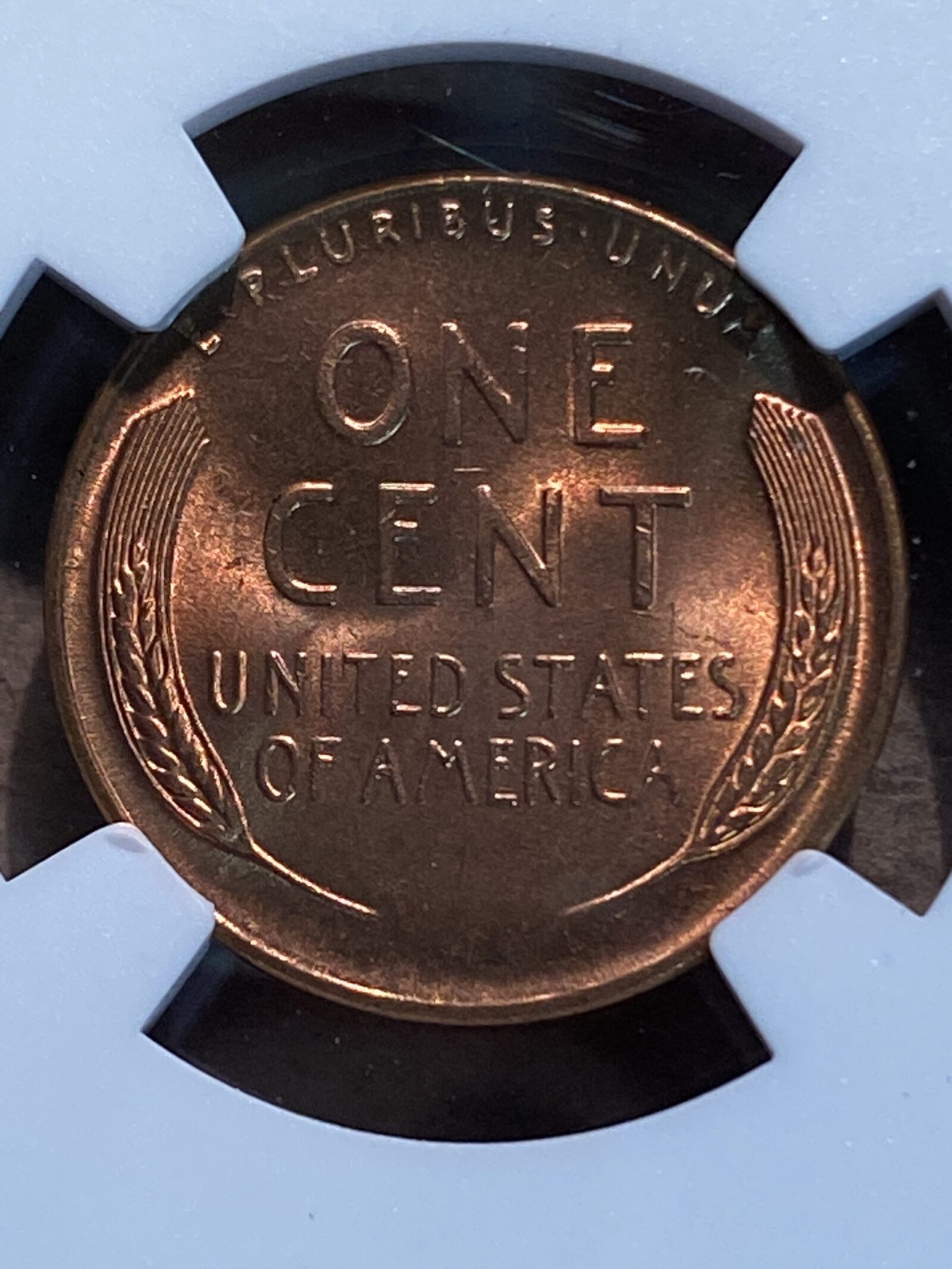 1948 Lincoln Cent NGC MS67 RD - Image 4