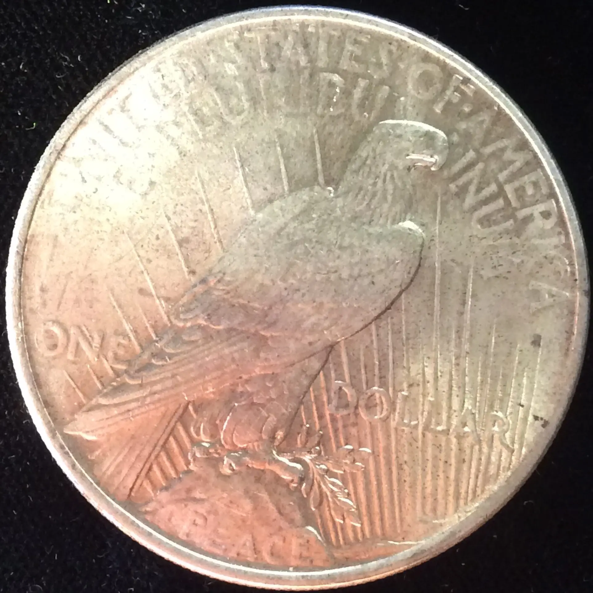 1924 Silver Peace Dollar in MS64 Select BU - Image 2