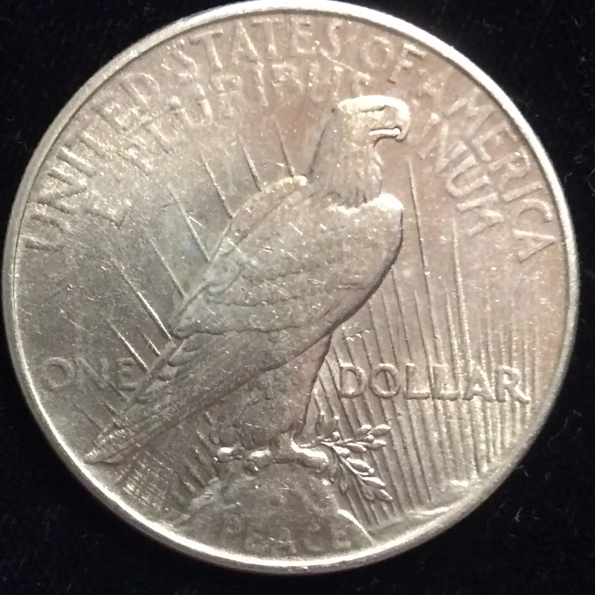 1934 Peace Silver Dollar in AU50 Almost Uncirculated Condition - Image 2