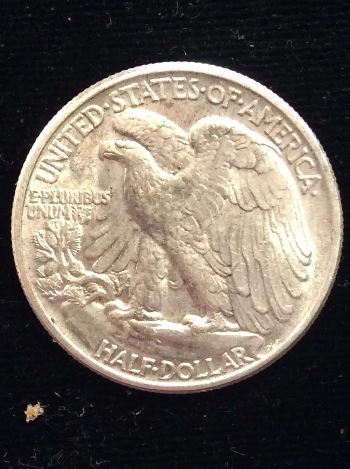 1941 Walking Liberty Half Dollar in Choice Almost Uncirculated Condition - Image 2